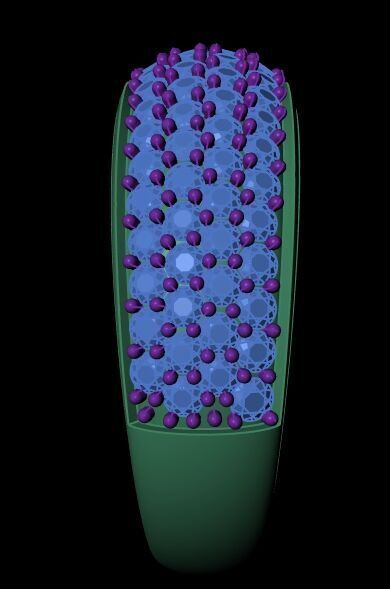 Diamond Ring 017 3D print model_9