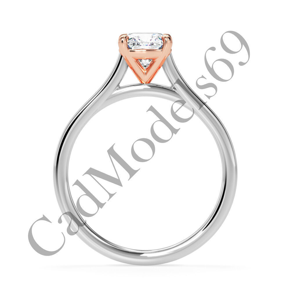 Ring22 3DM Print Model with 28 IMAGES and 7 VIDEOS 3D print model_6