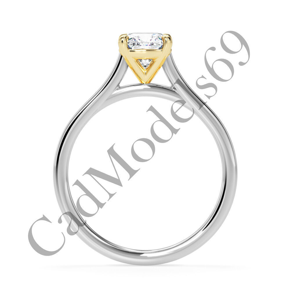 Ring22 3DM Print Model with 28 IMAGES and 7 VIDEOS 3D print model_22