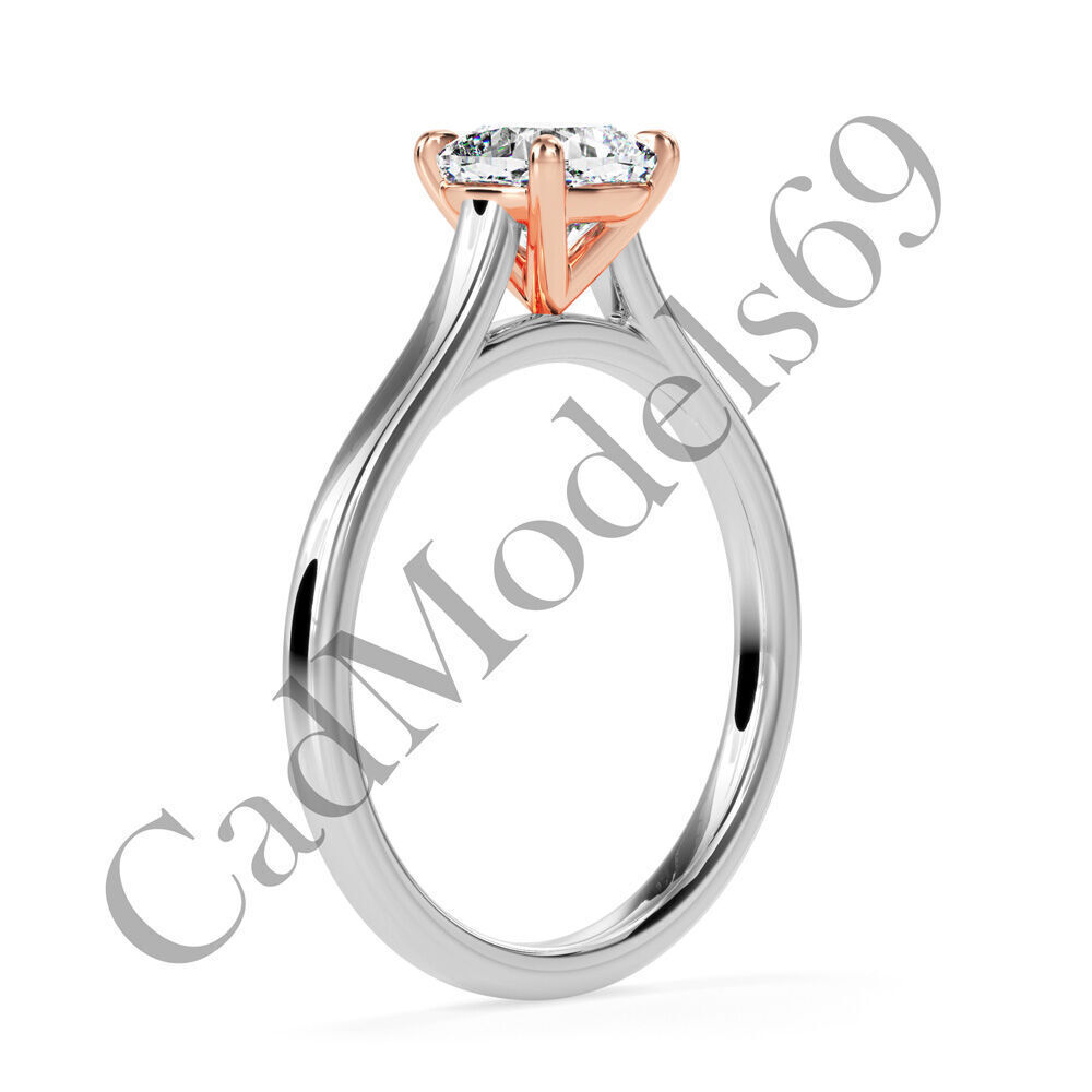 Ring22 3DM Print Model with 28 IMAGES and 7 VIDEOS 3D print model_5