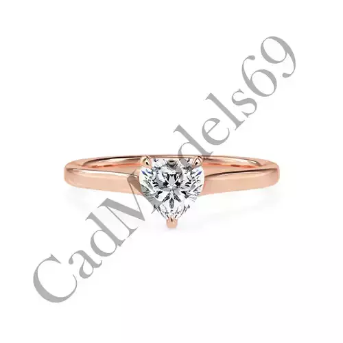 Ring24 3DM Print Model with 28 IMAGES and 7 VIDEOS