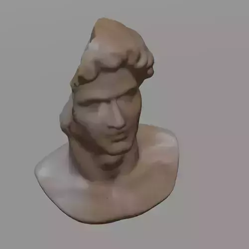 BUST 1