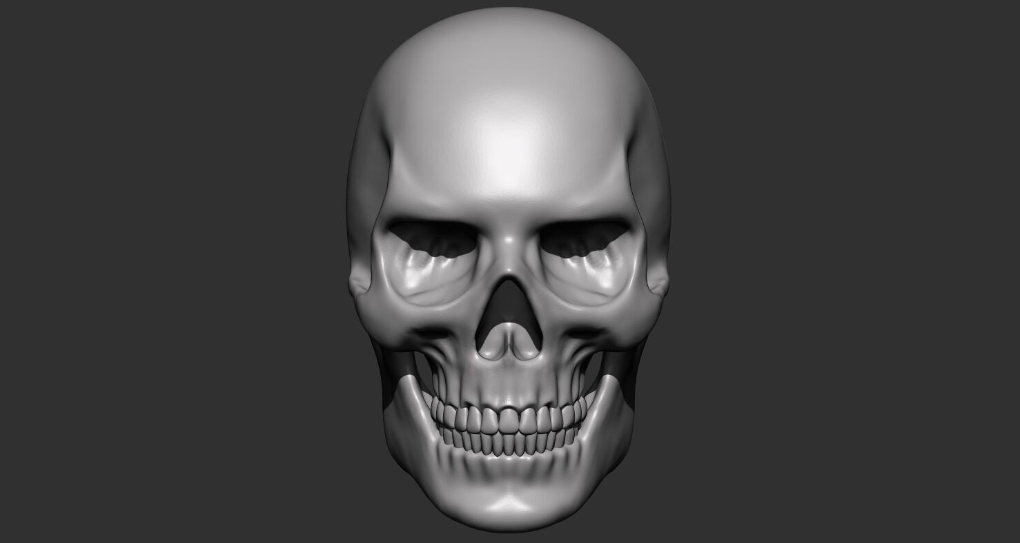 skull face 3D print model_1