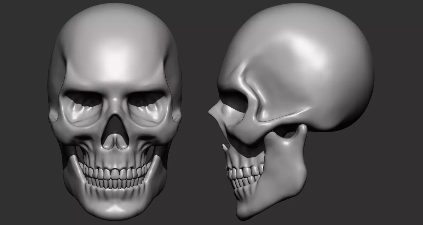 skull face 3D print model_0
