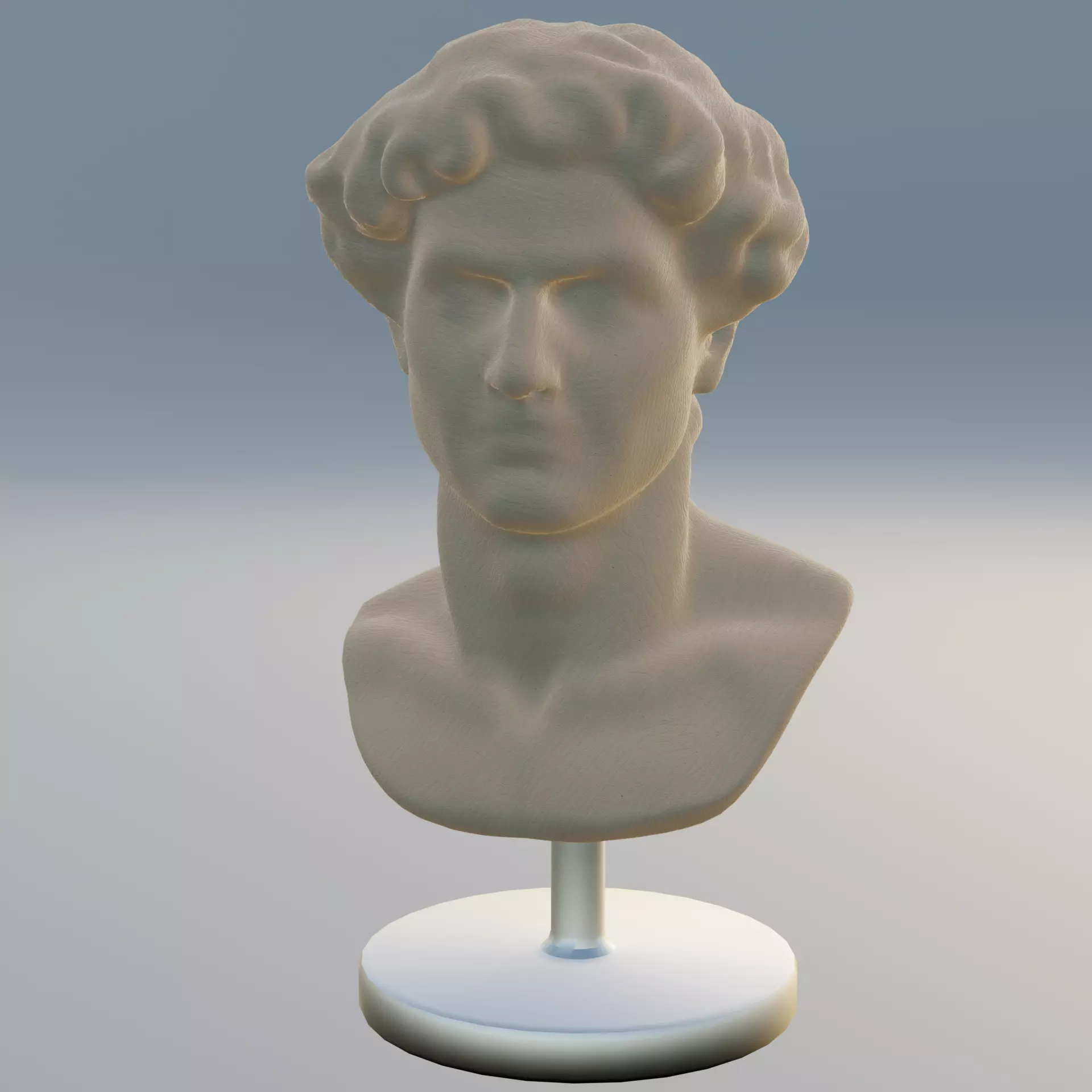 BUST 2 3D model_0