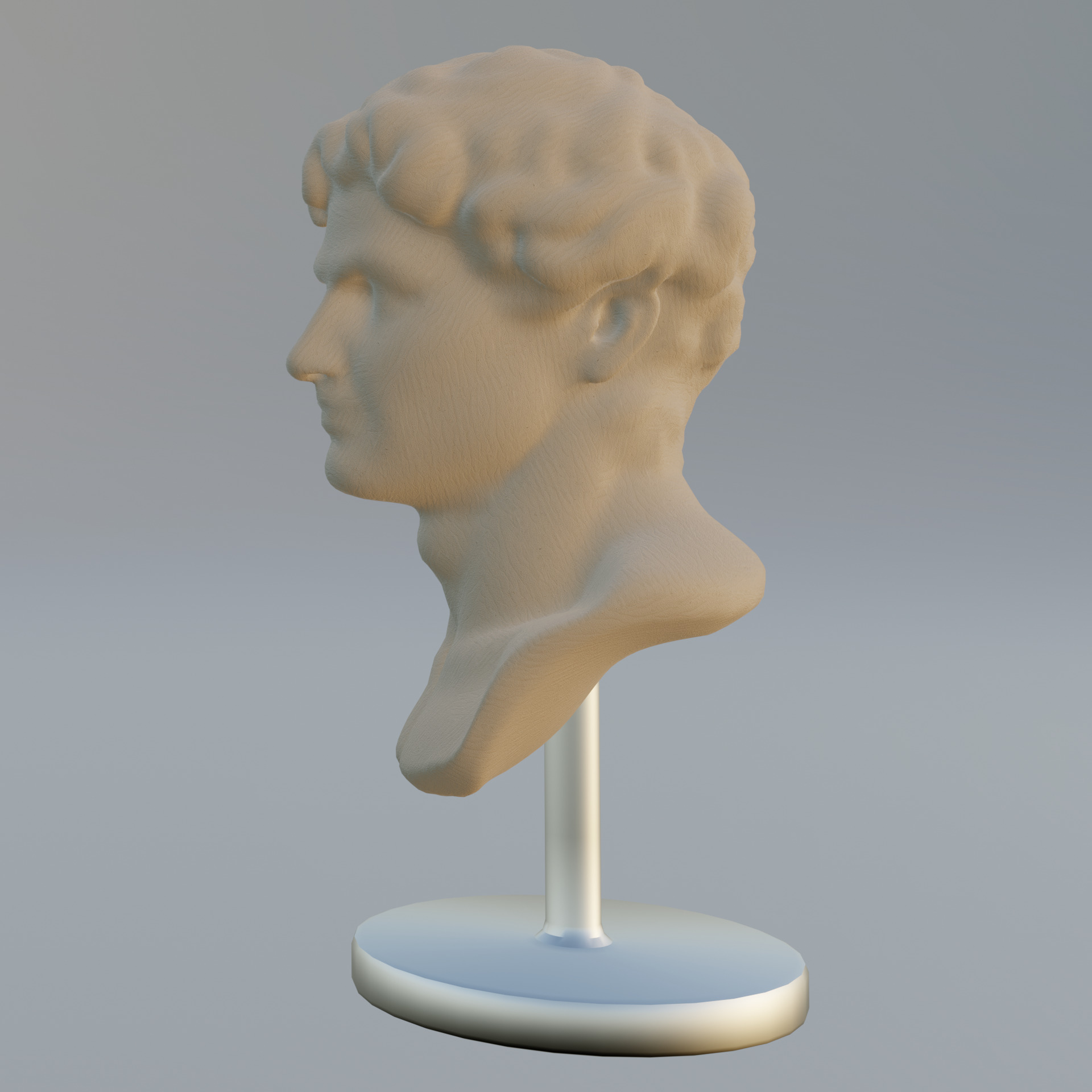 BUST 2 3D model_1