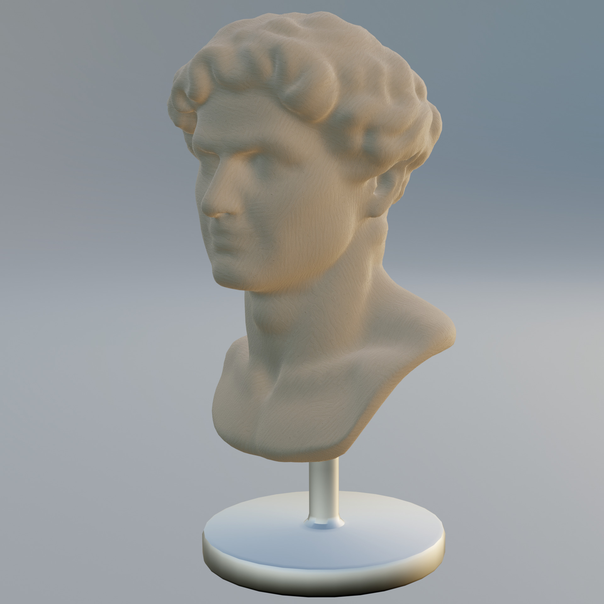 BUST 2 3D model_3