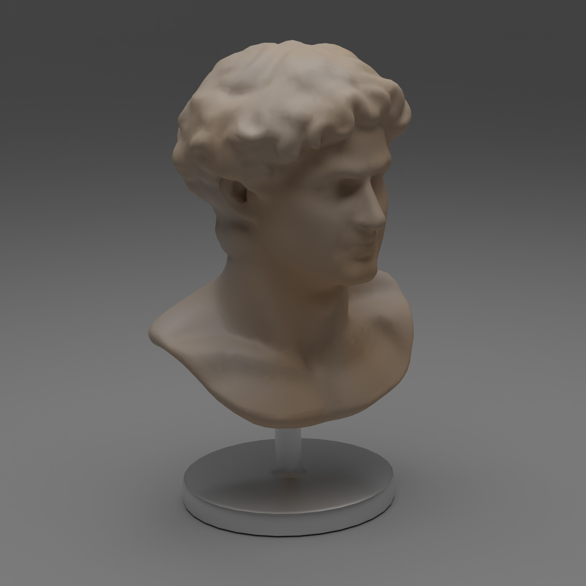 BUST 2 3D model_2
