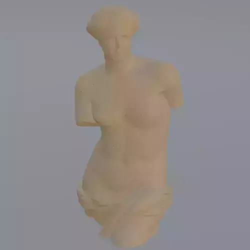 BUST WOMAN