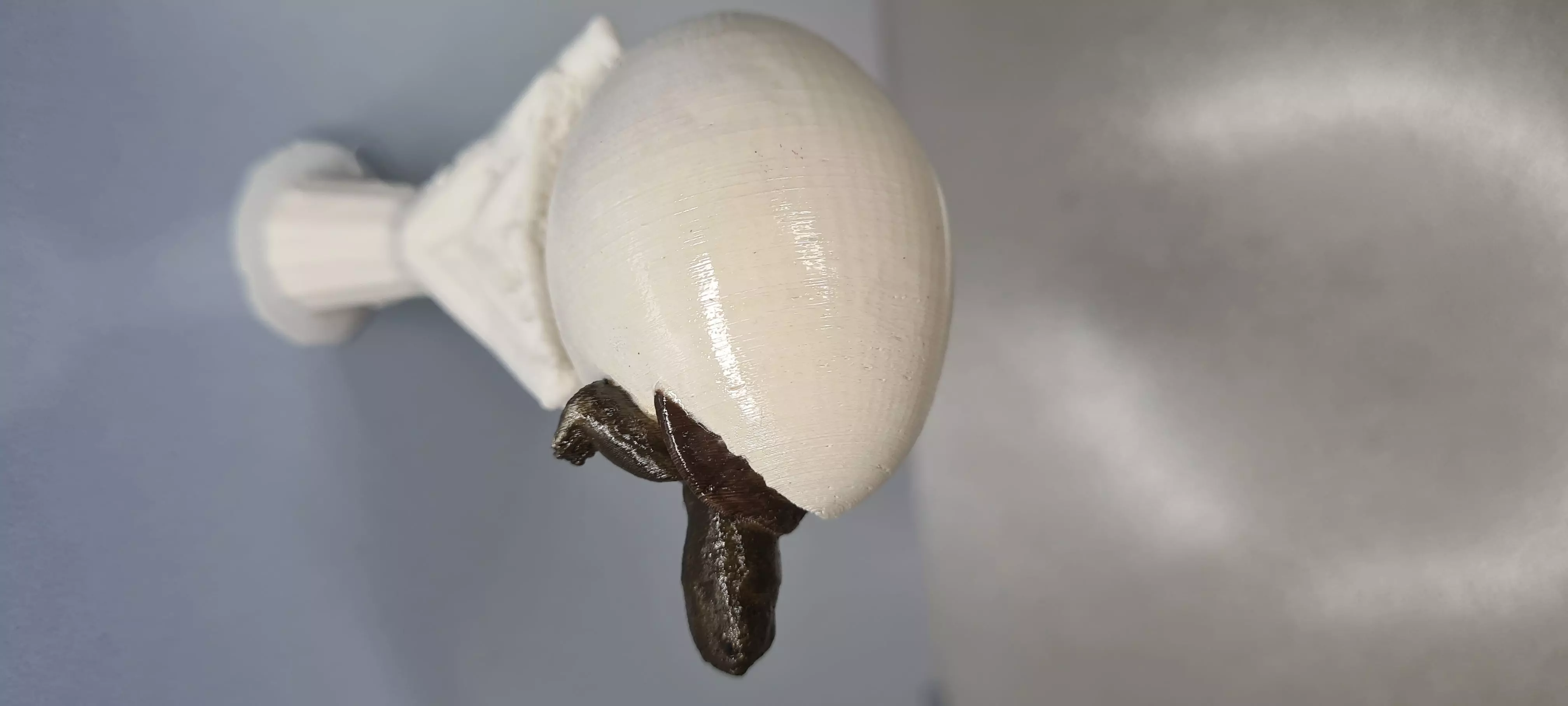 Baby tortu 3D print model_0