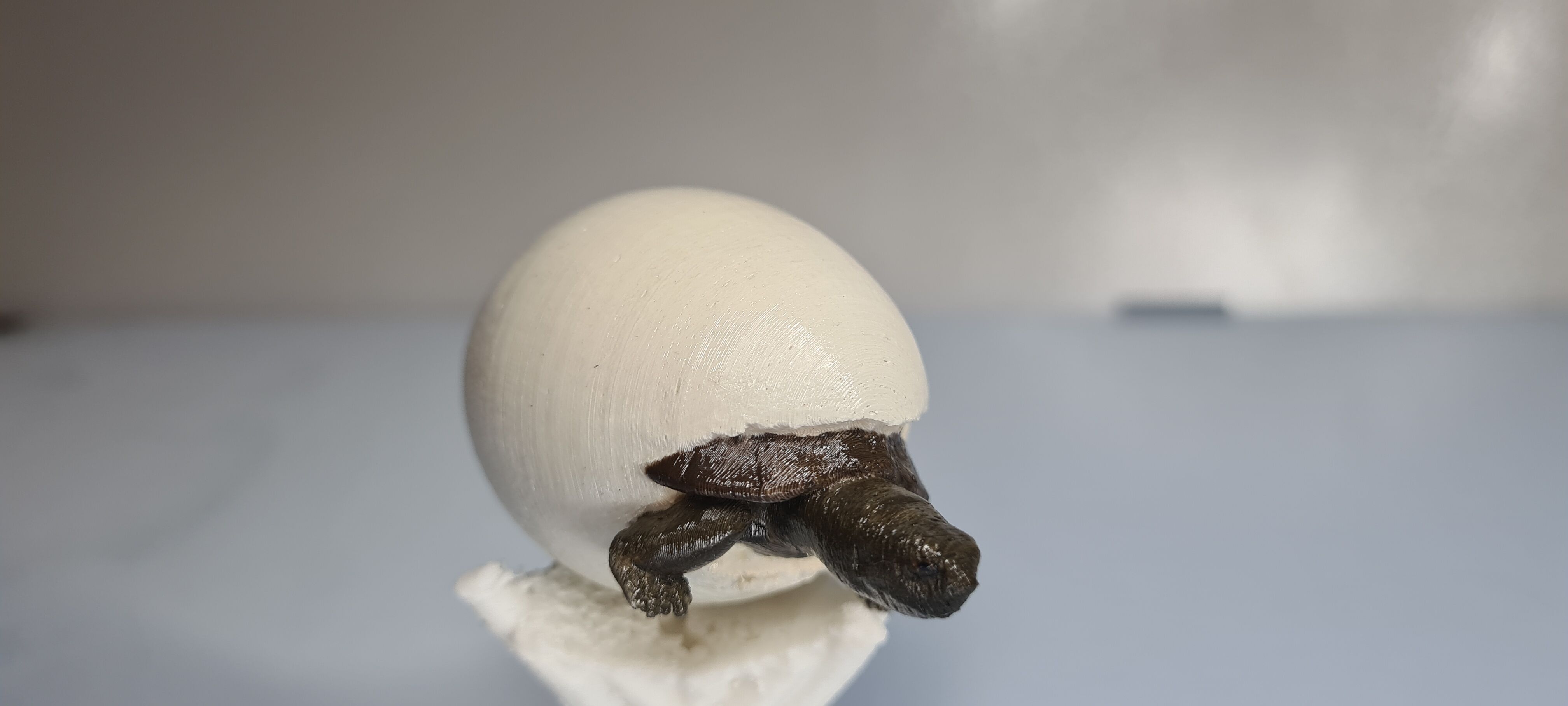 Baby tortu 3D print model_2