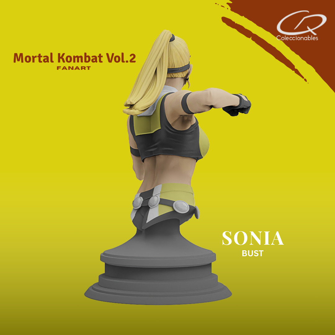 Mortal Kombat Vol 2 - Sonia 3D print model_5