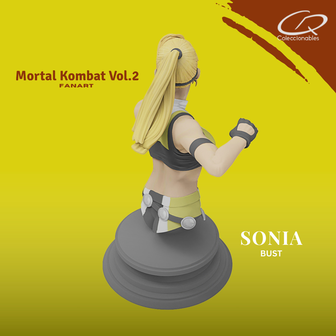 Mortal Kombat Vol 2 - Sonia 3D print model_10