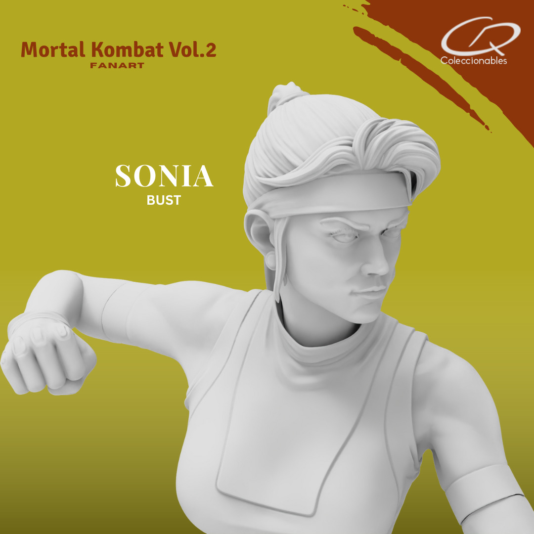 Mortal Kombat Vol 2 - Sonia 3D print model_13