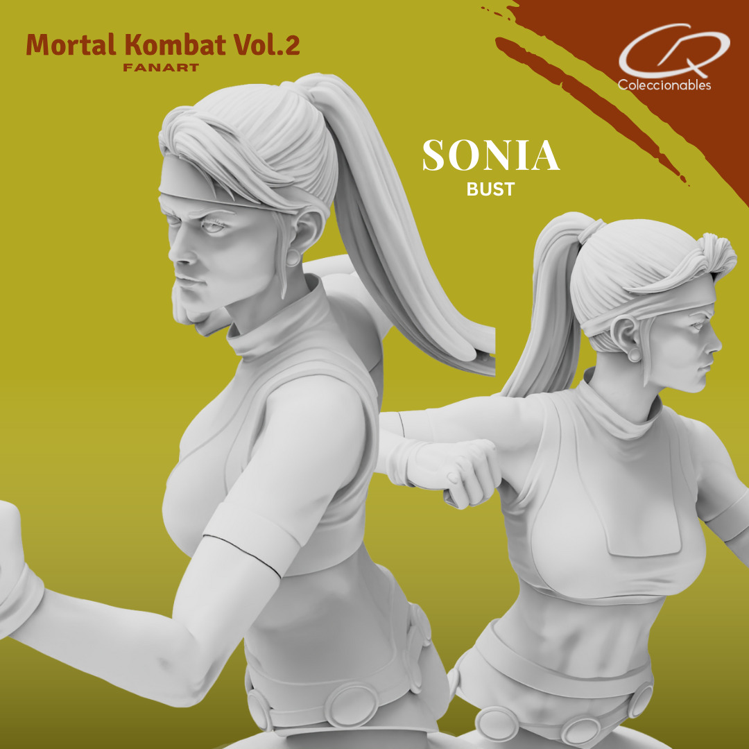 Mortal Kombat Vol 2 - Sonia 3D print model_14