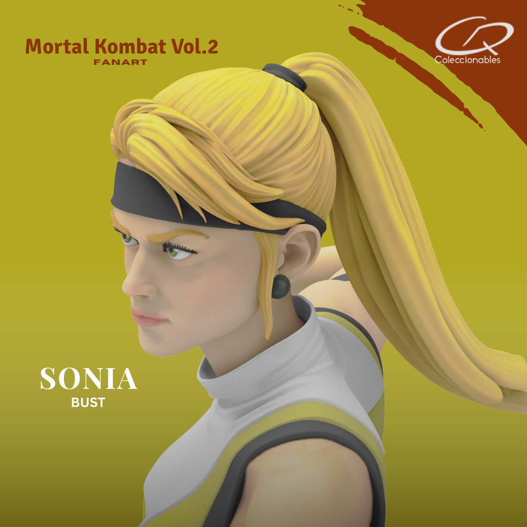 Mortal Kombat Vol 2 - Sonia 3D print model_9
