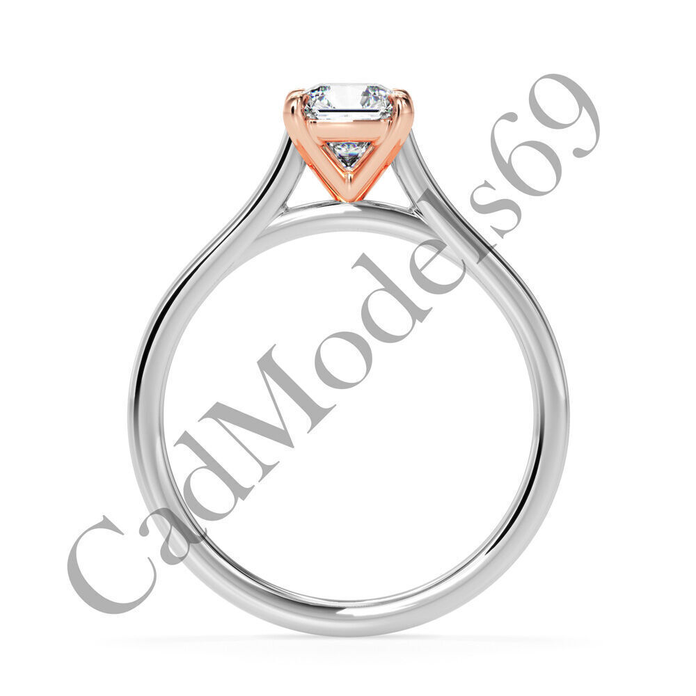 Ring30 3DM Print Model with 28 IMAGES and 7 VIDEOS 3D print model_6