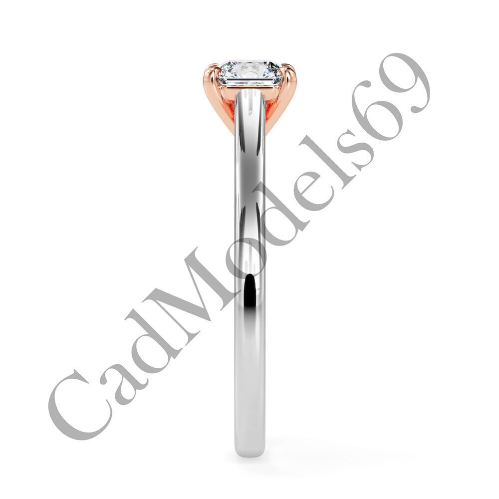 Ring30 3DM Print Model with 28 IMAGES and 7 VIDEOS 3D print model_7