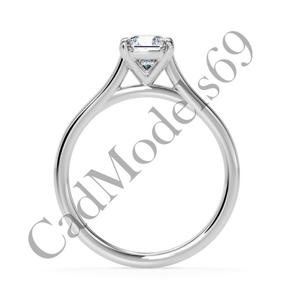 Ring30 3DM Print Model with 28 IMAGES and 7 VIDEOS 3D print model_14