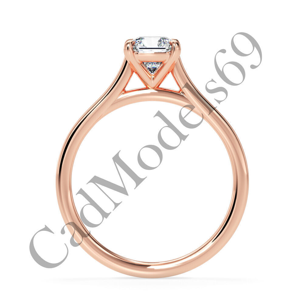 Ring30 3DM Print Model with 28 IMAGES and 7 VIDEOS 3D print model_2