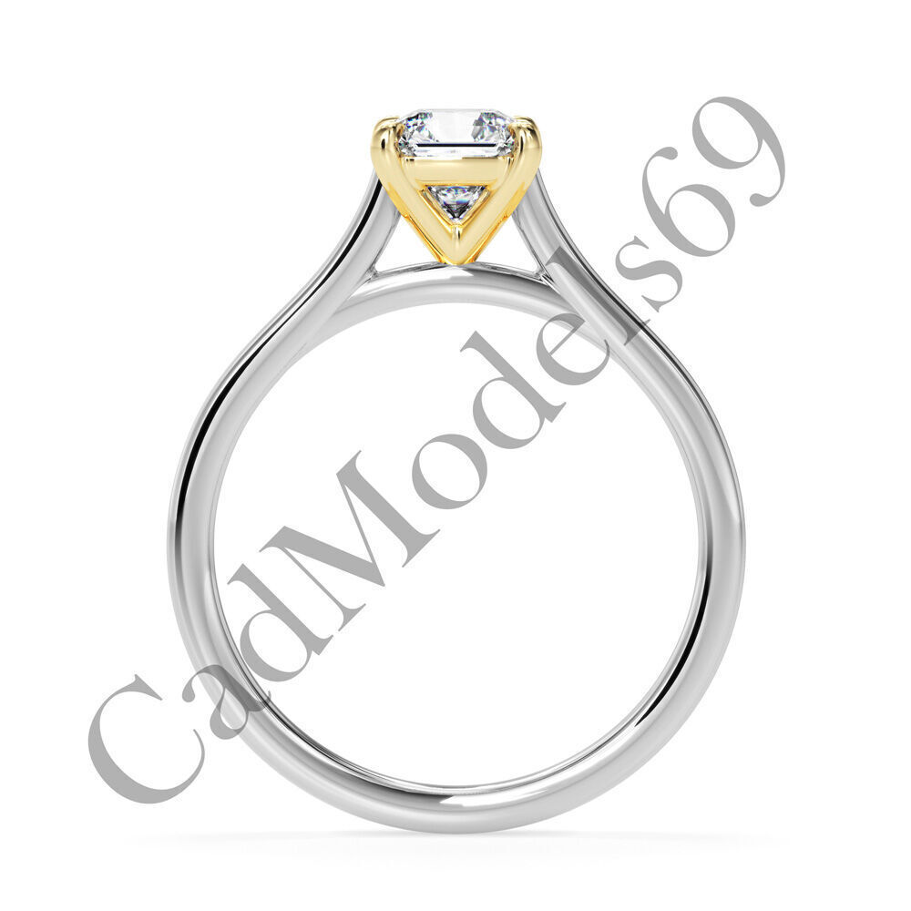 Ring30 3DM Print Model with 28 IMAGES and 7 VIDEOS 3D print model_22