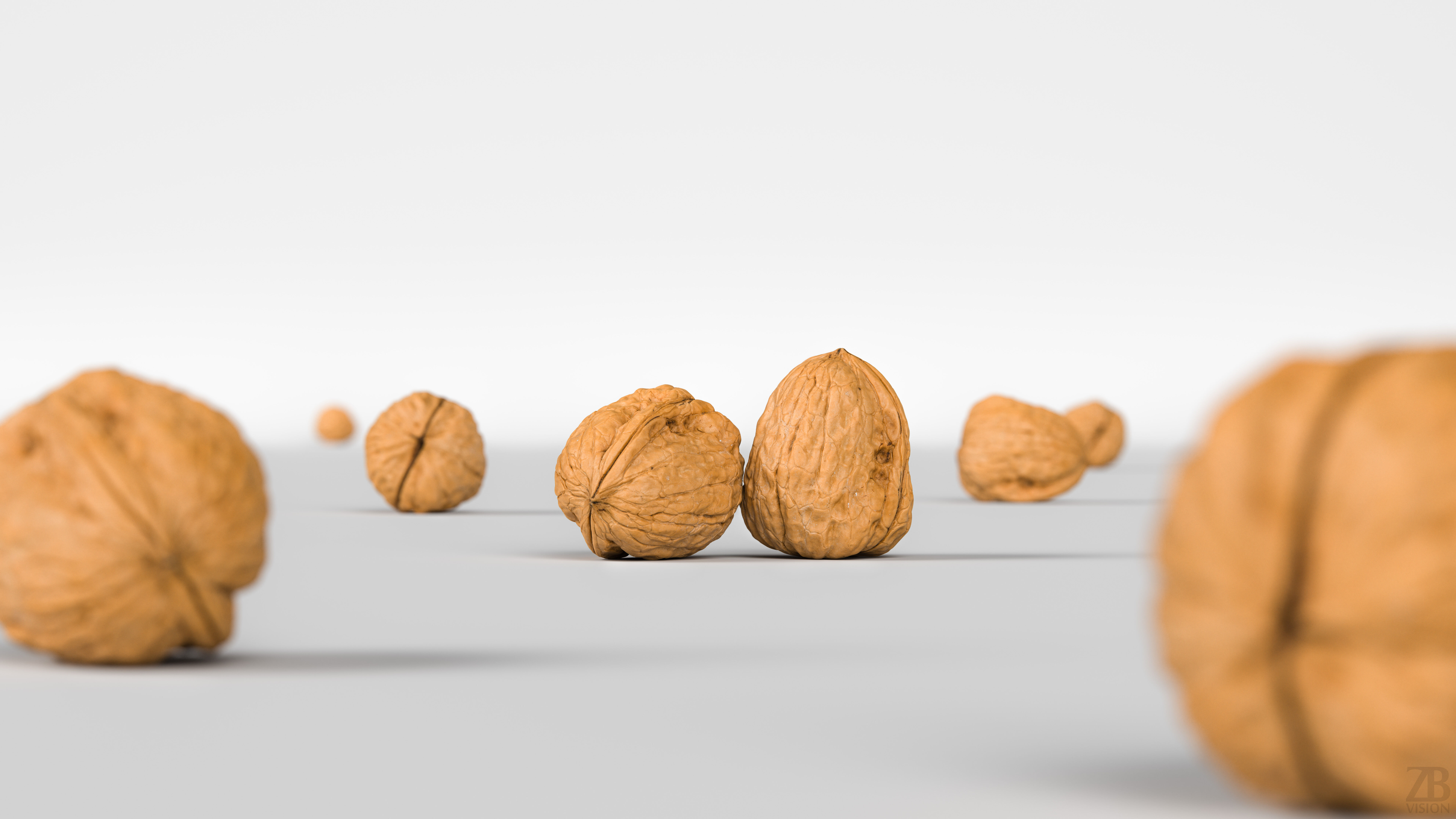 Walnut 3D model_1