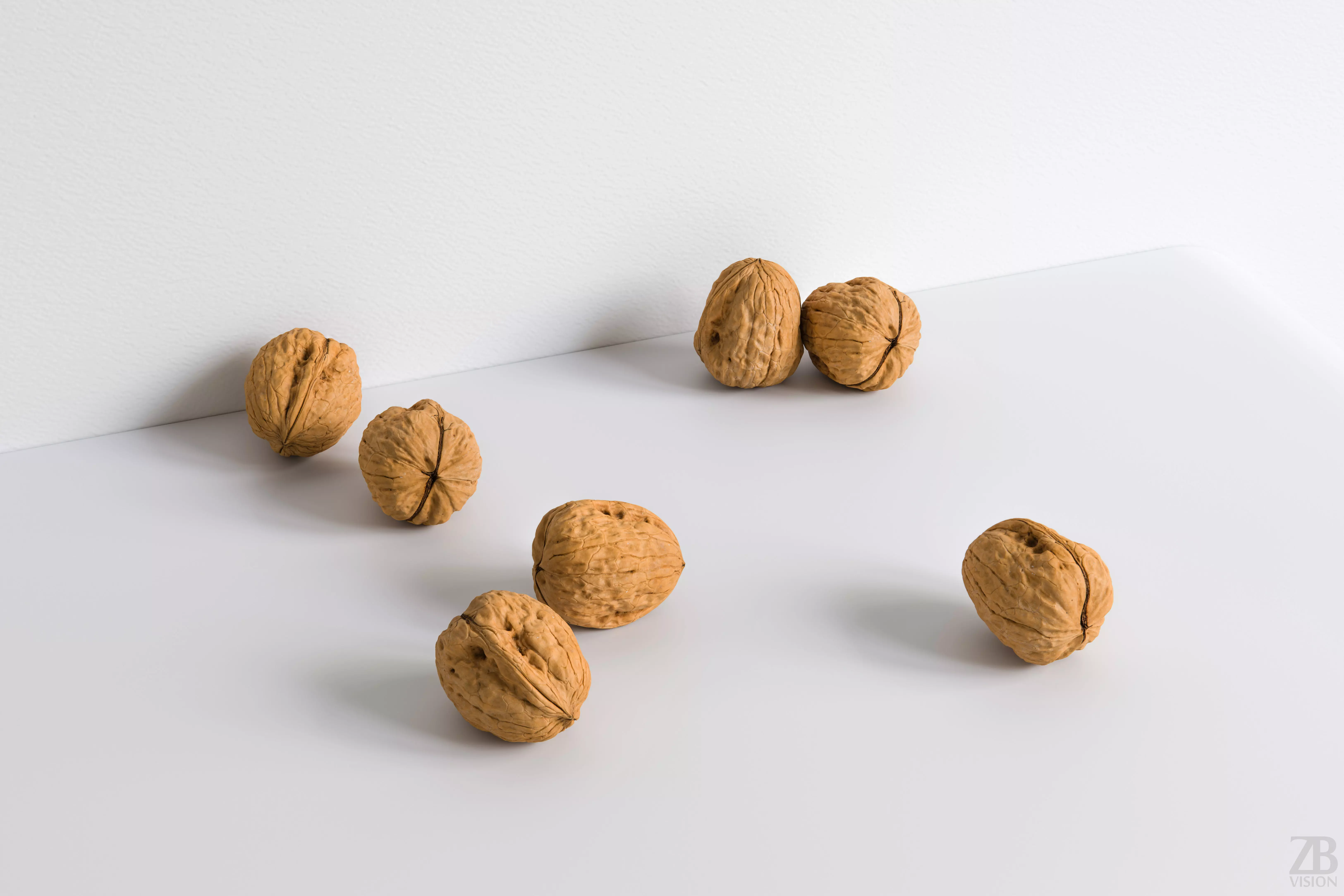 Walnut 3D model_0