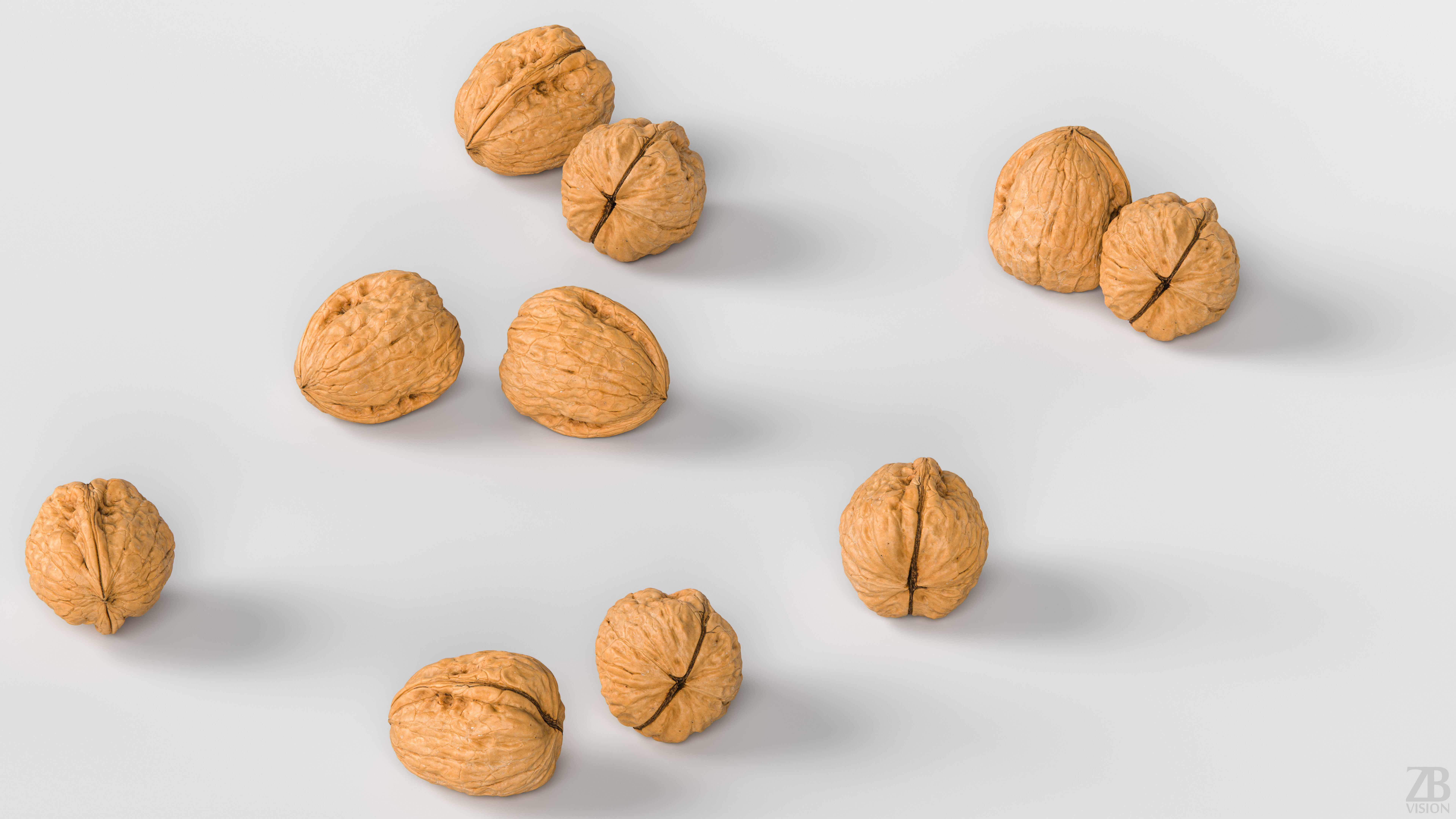 Walnut 3D model_2