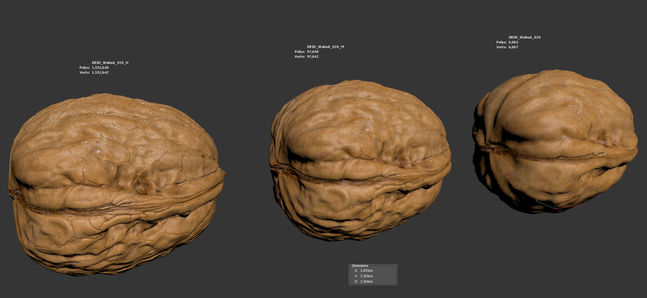 Walnut 3D model_5