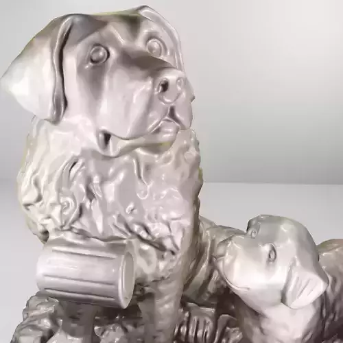 Saint Bernard family