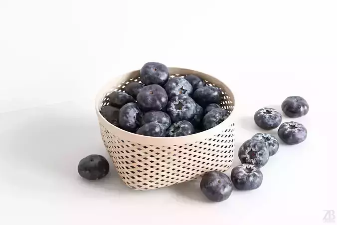 Blueberry 3D model