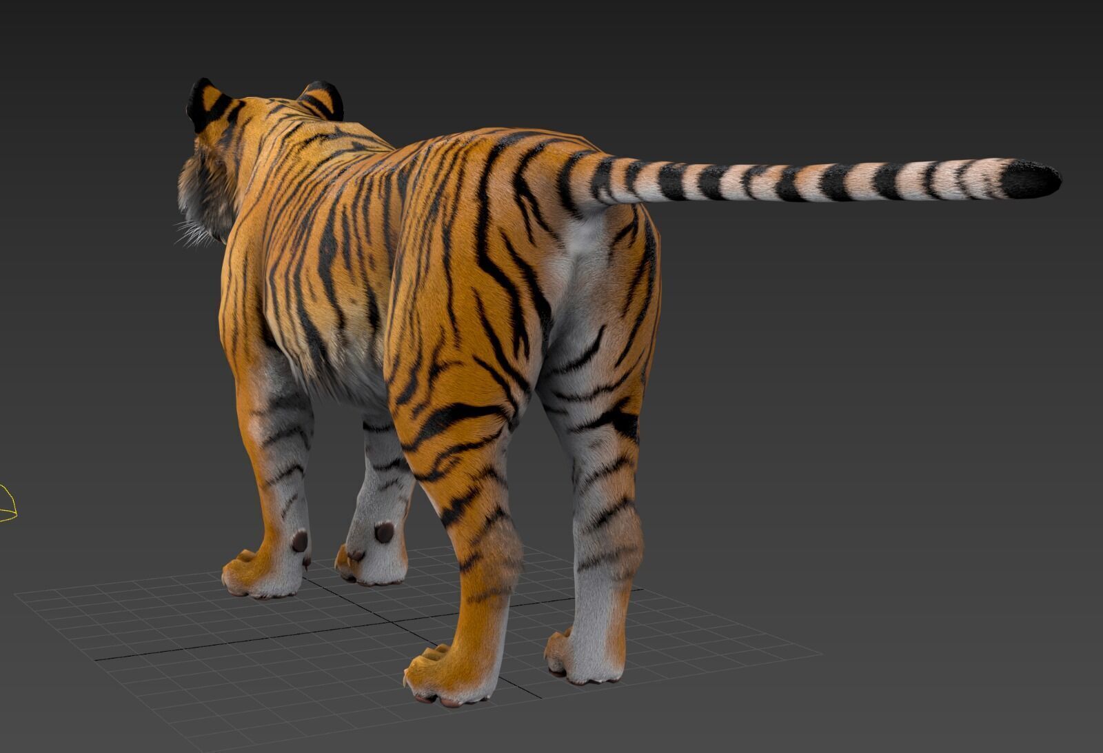 Realistic Tiger Low-poly 3D model_20