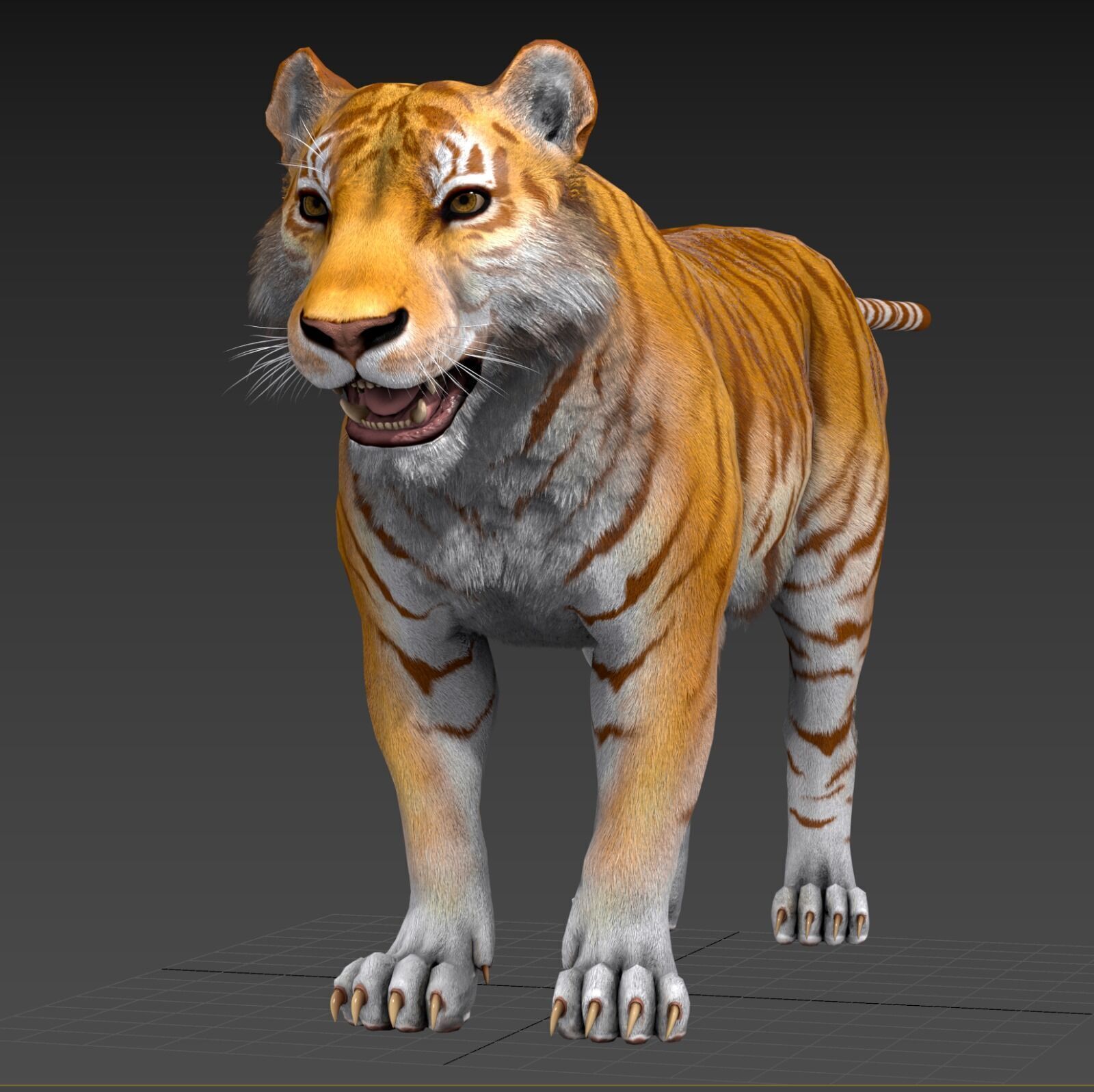Realistic Tiger Low-poly 3D model_26
