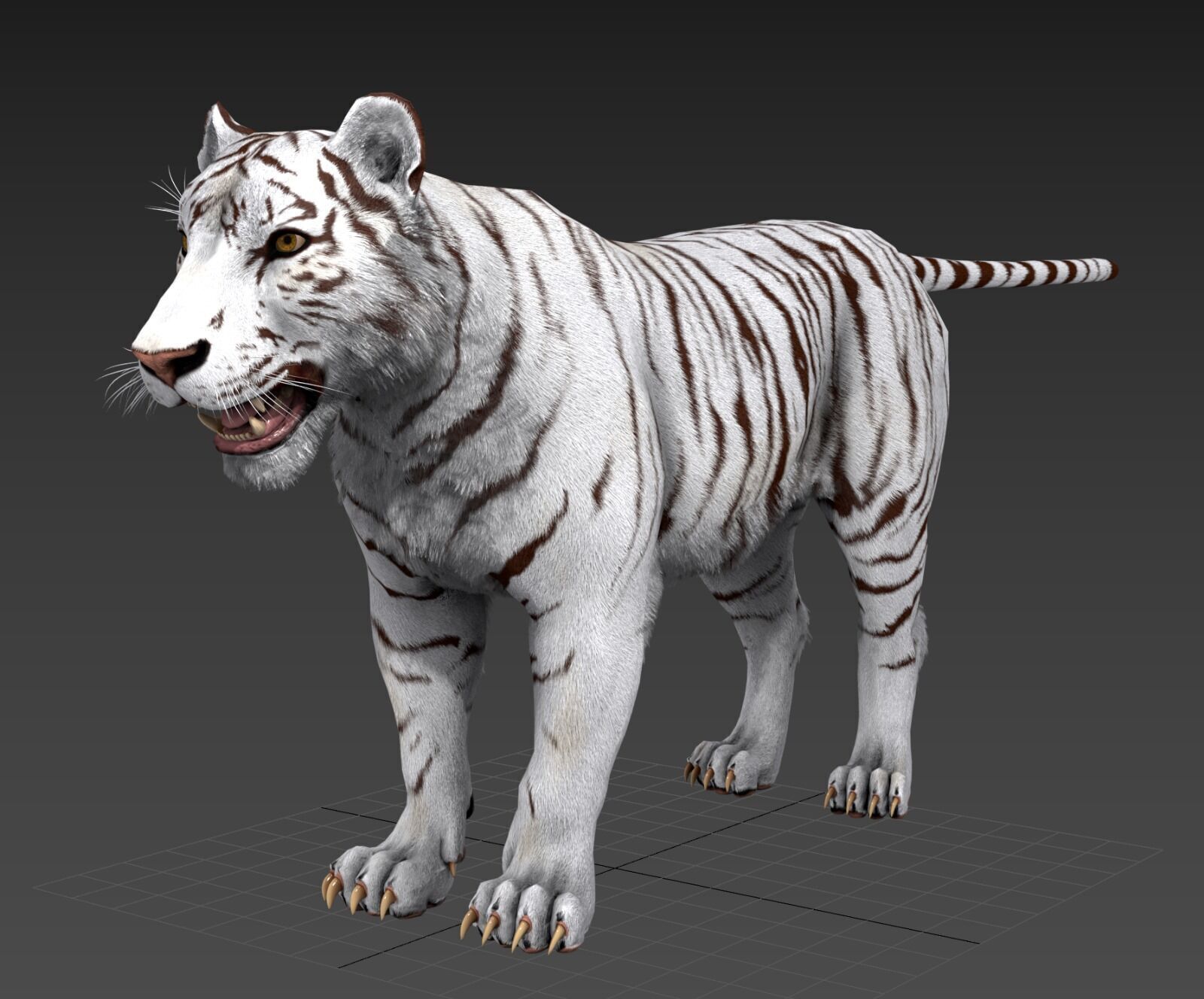 Realistic Tiger Low-poly 3D model_23