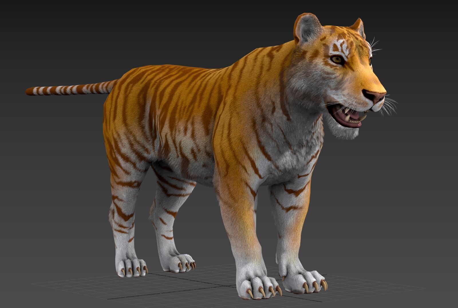 Realistic Tiger Low-poly 3D model_25