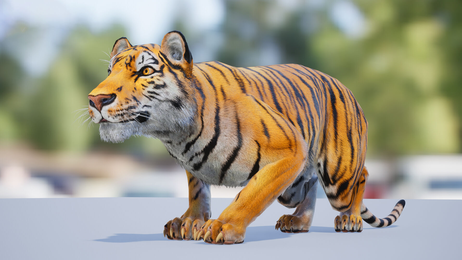 Realistic Tiger Low-poly 3D model_4