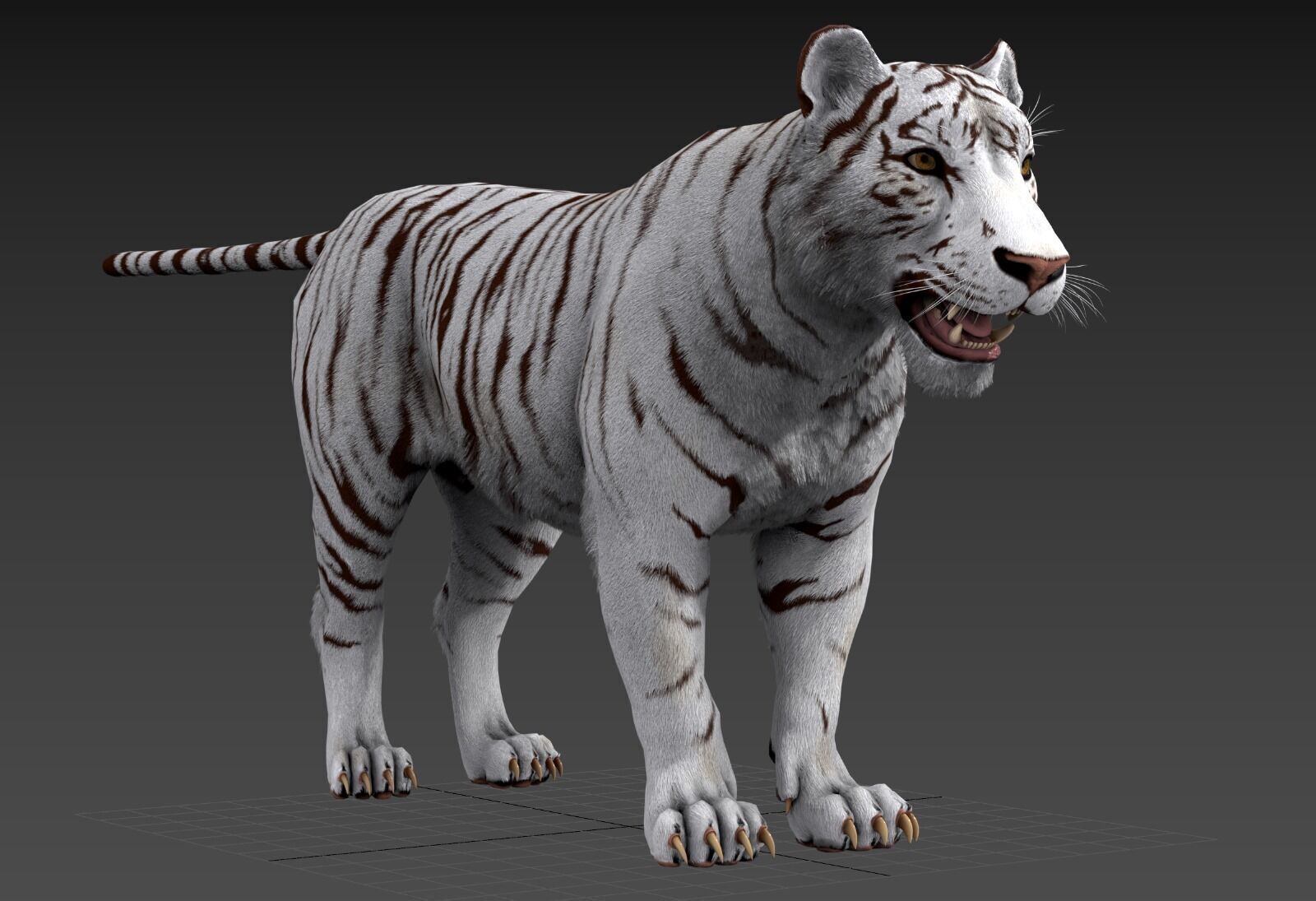 Realistic Tiger Low-poly 3D model_24