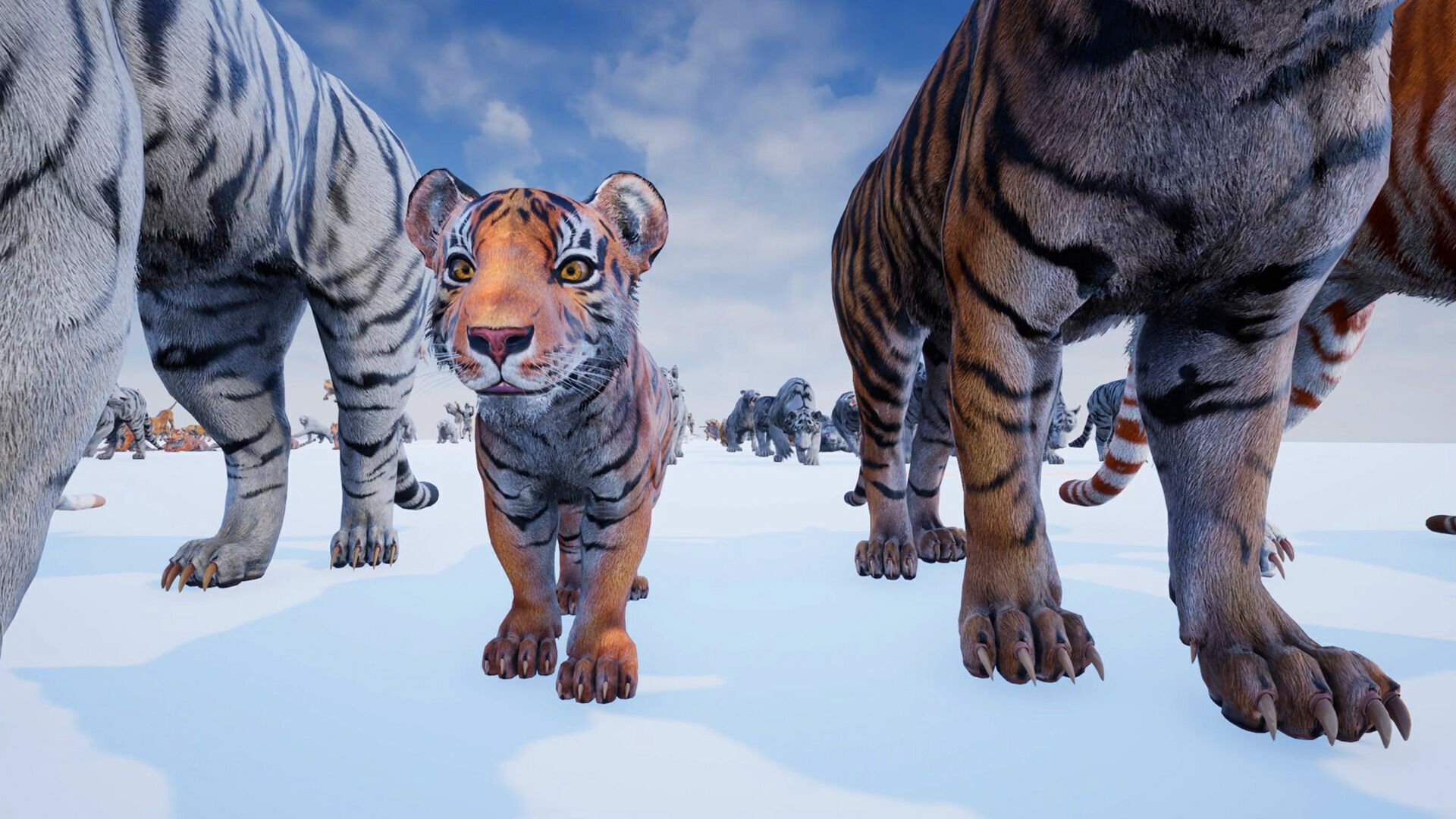 Realistic Tiger Low-poly 3D model_28