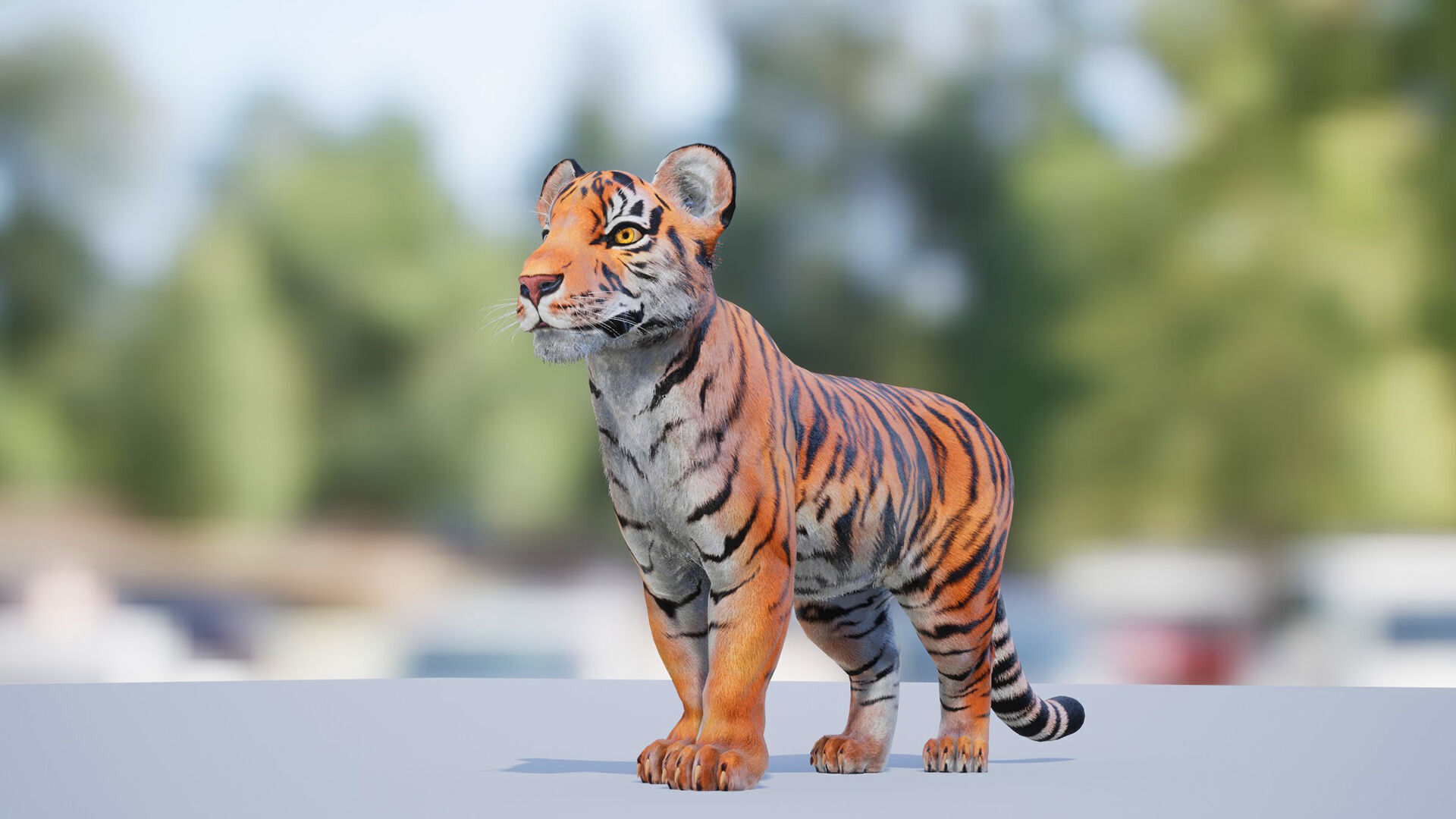Realistic Tiger Low-poly 3D model_5