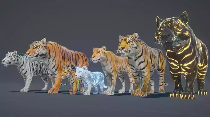 Realistic Tiger Low-poly 3D model