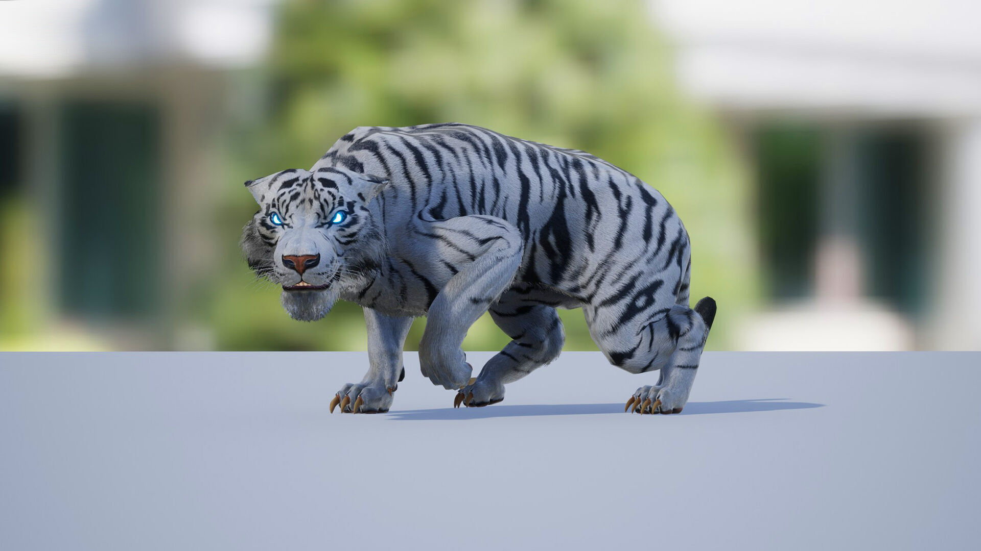 Realistic Tiger Low-poly 3D model_10