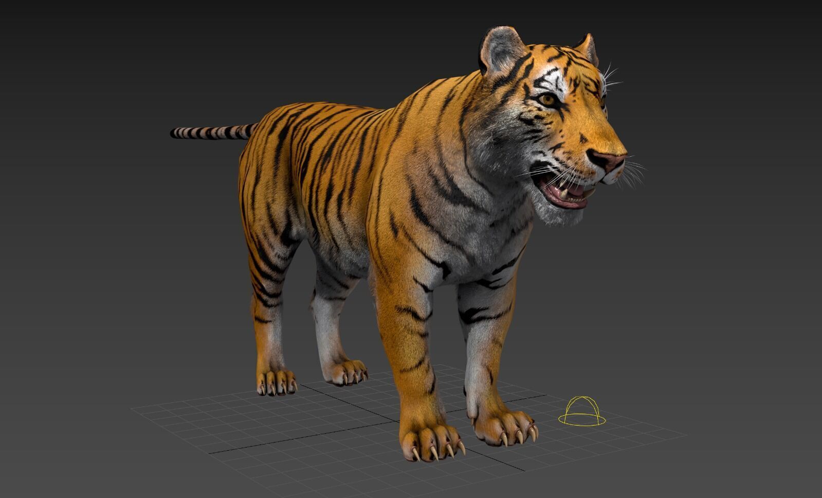 Realistic Tiger Low-poly 3D model_17