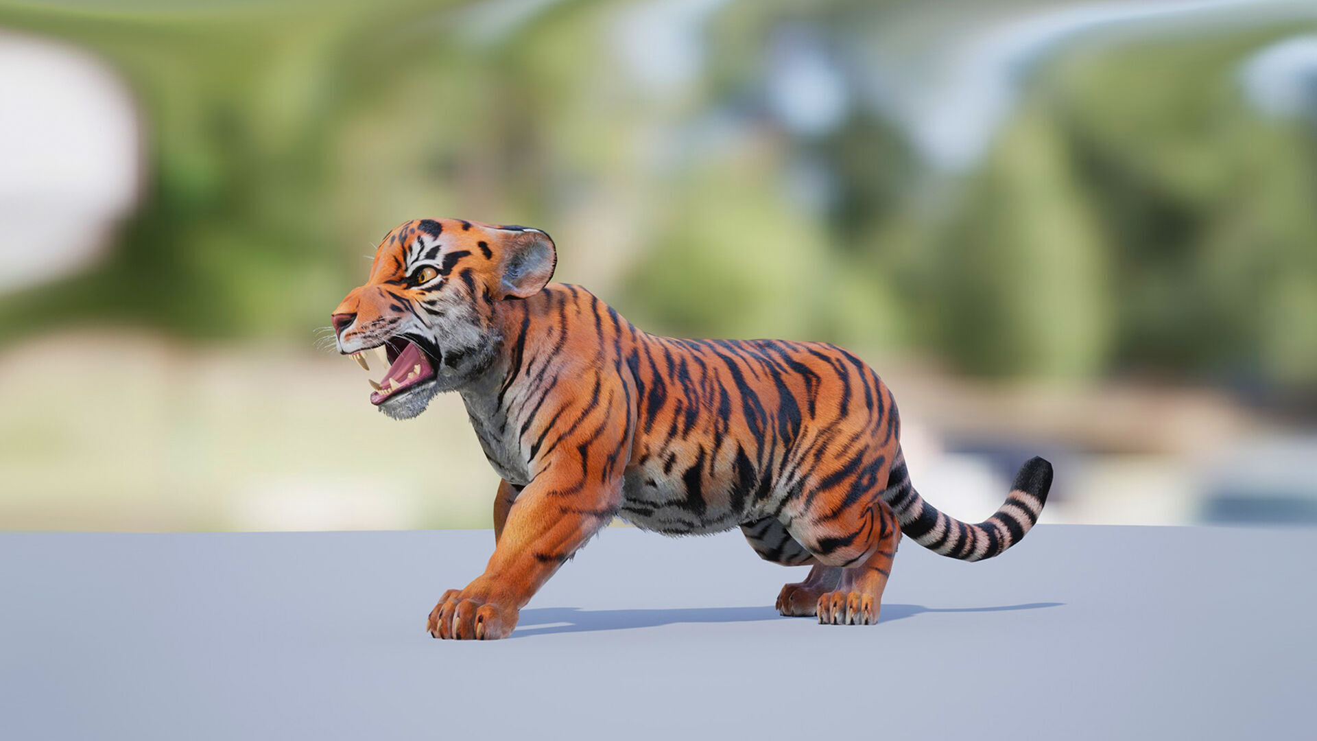Realistic Tiger Low-poly 3D model_8