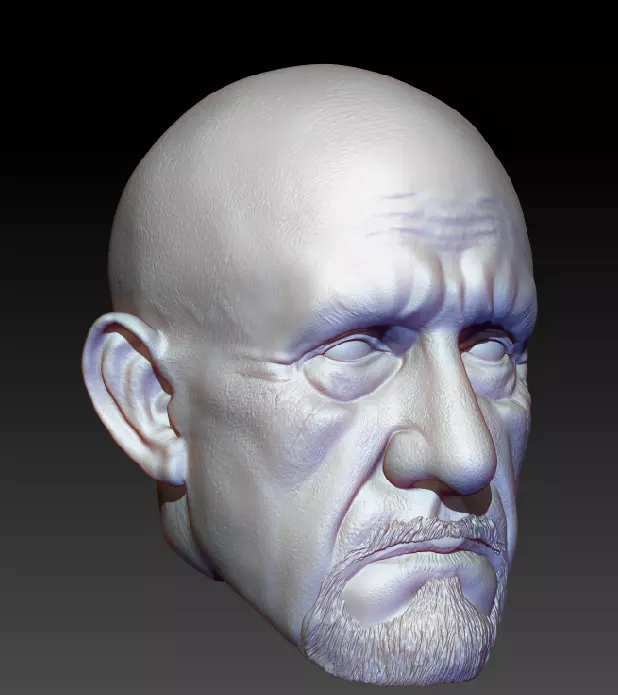 Mike Erhmantraut Breaking Bad Better Call Saul 3D print model_0