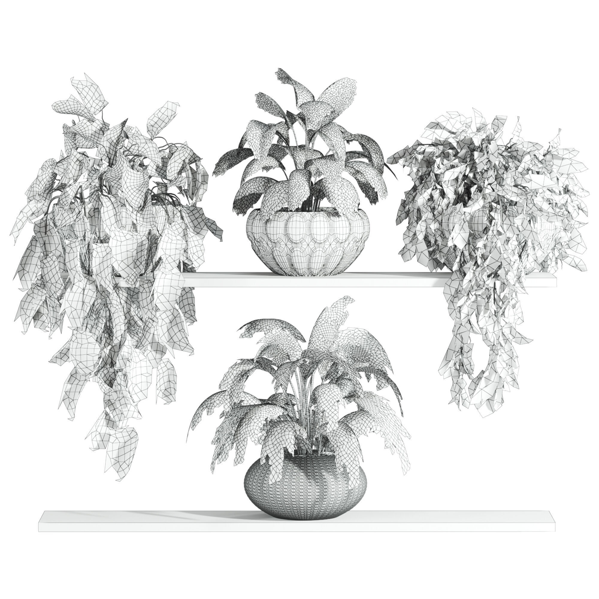 hanging plants 3D model_1