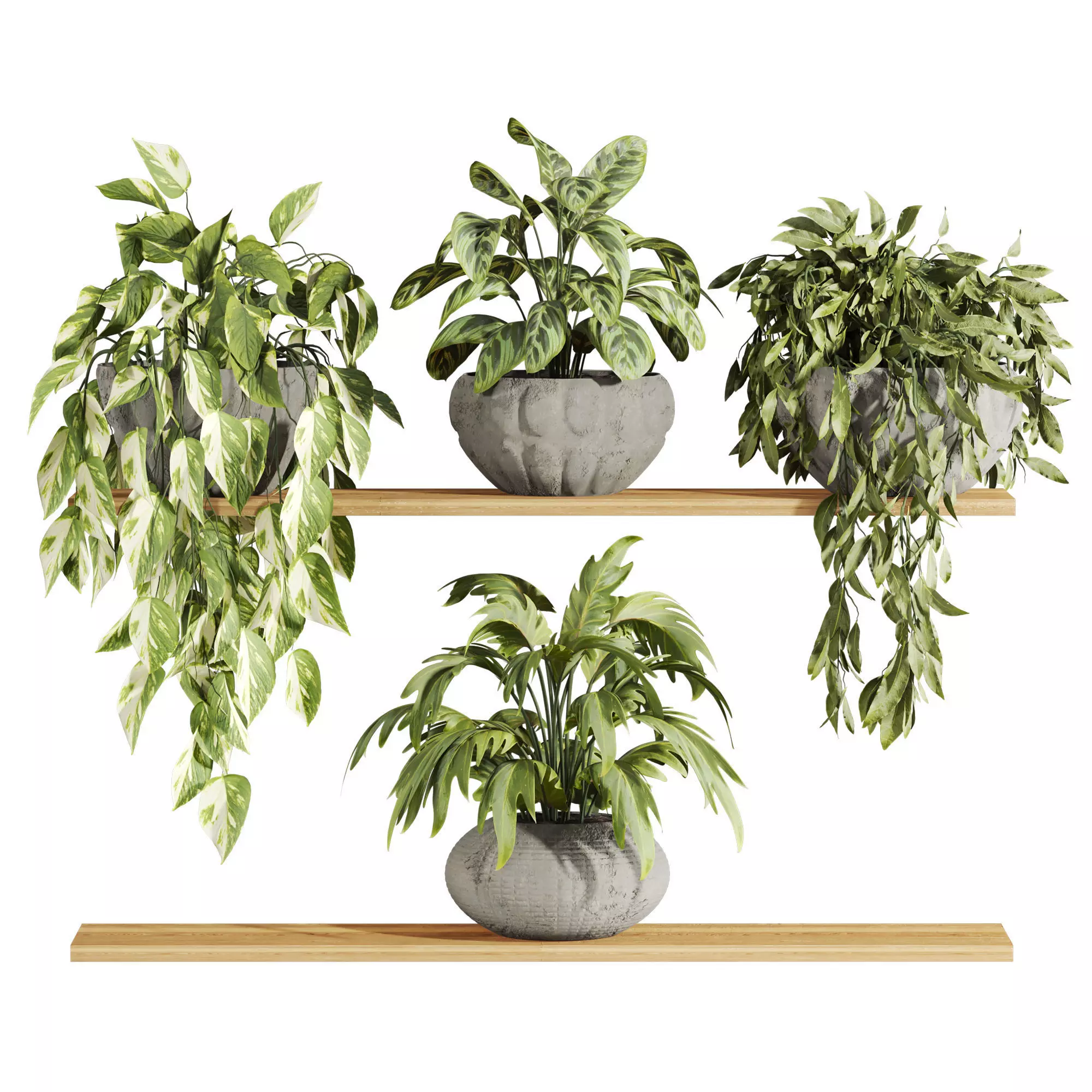 hanging plants 3D model_0