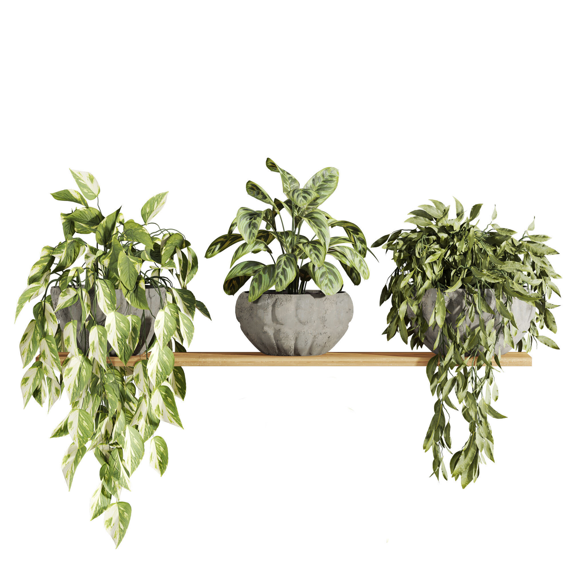 hanging plants 3D model_3