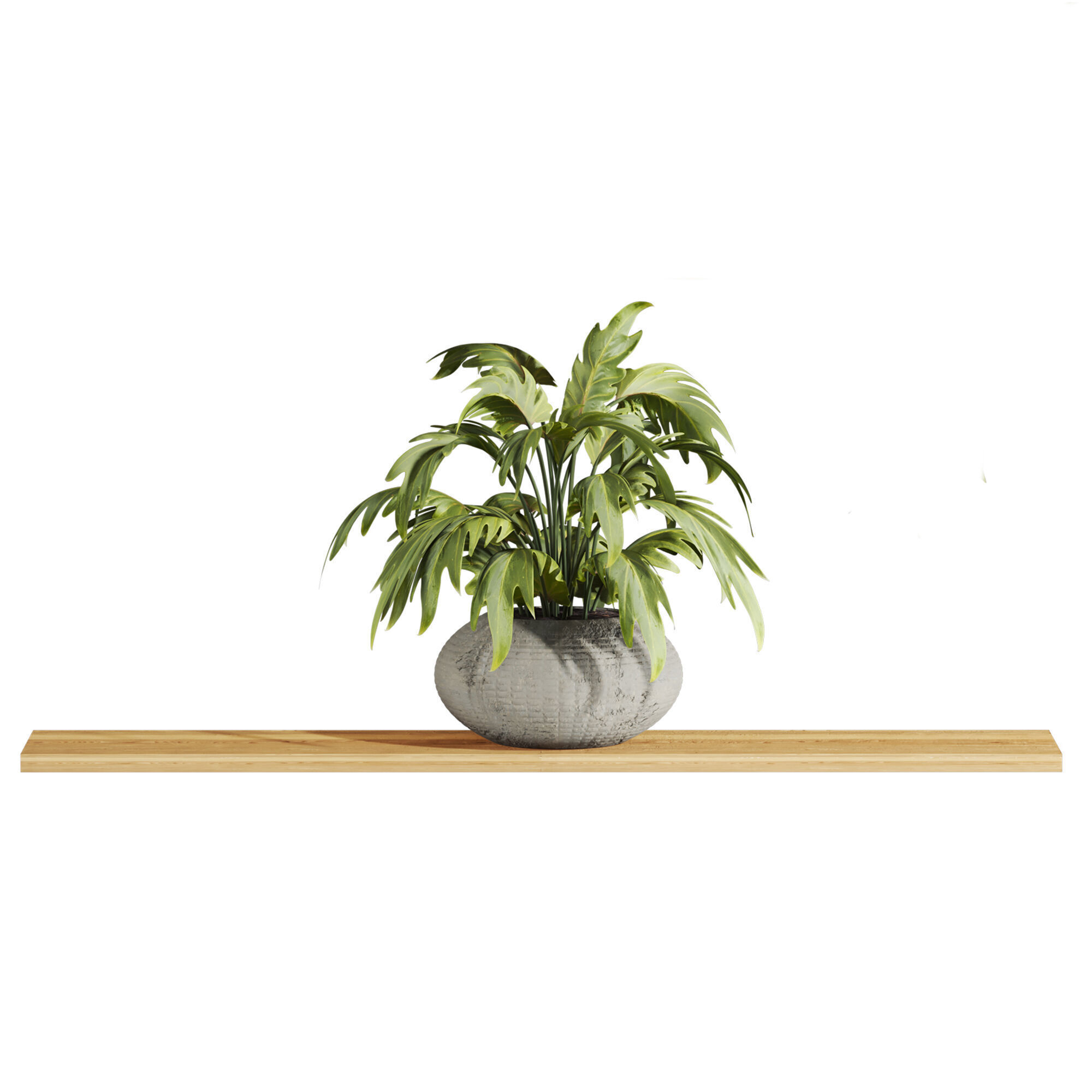 hanging plants 3D model_2