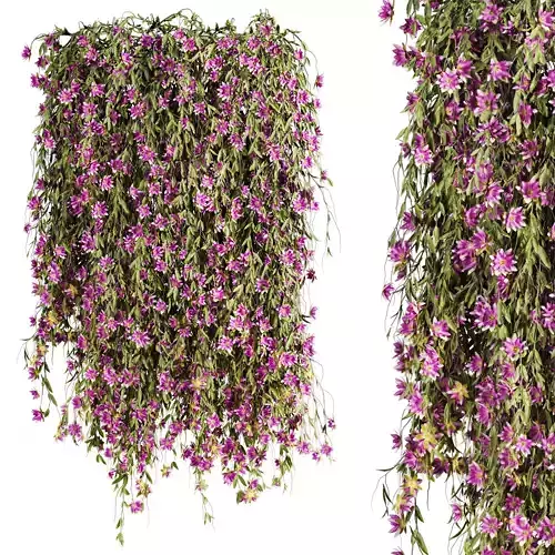 hanging plants