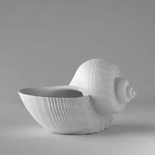 Shell Planter July 2021